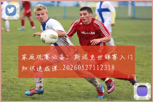 家庭观赛必备：斯诺克世锦赛入门知识速成课_20260527112318