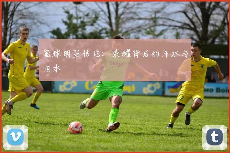 篮球明星传记:荣耀背后的汗水与泪水