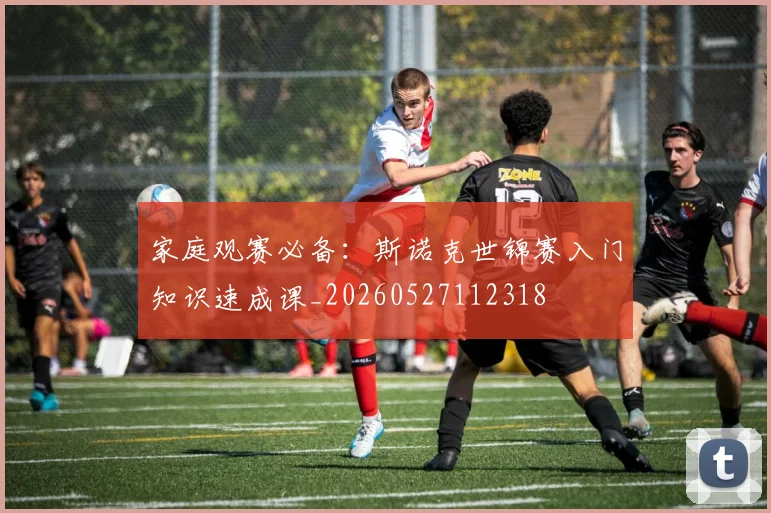 家庭观赛必备：斯诺克世锦赛入门知识速成课_20260527112318